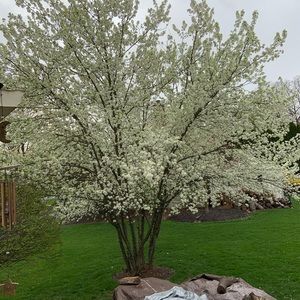 Meet your Posher, Irene